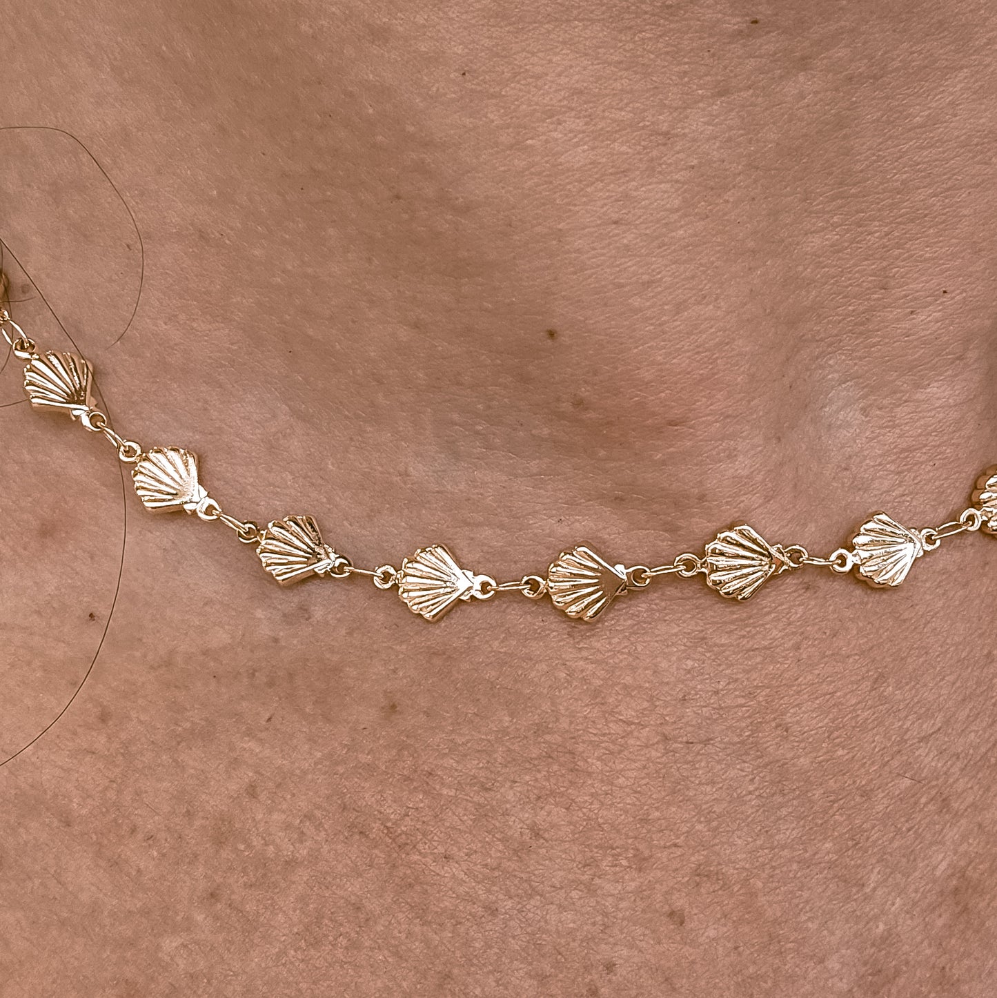 Scallop Shell Necklace
