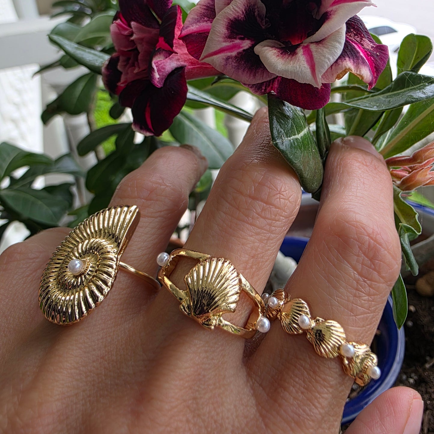 Princess Shell ring with shell pearl rings 2