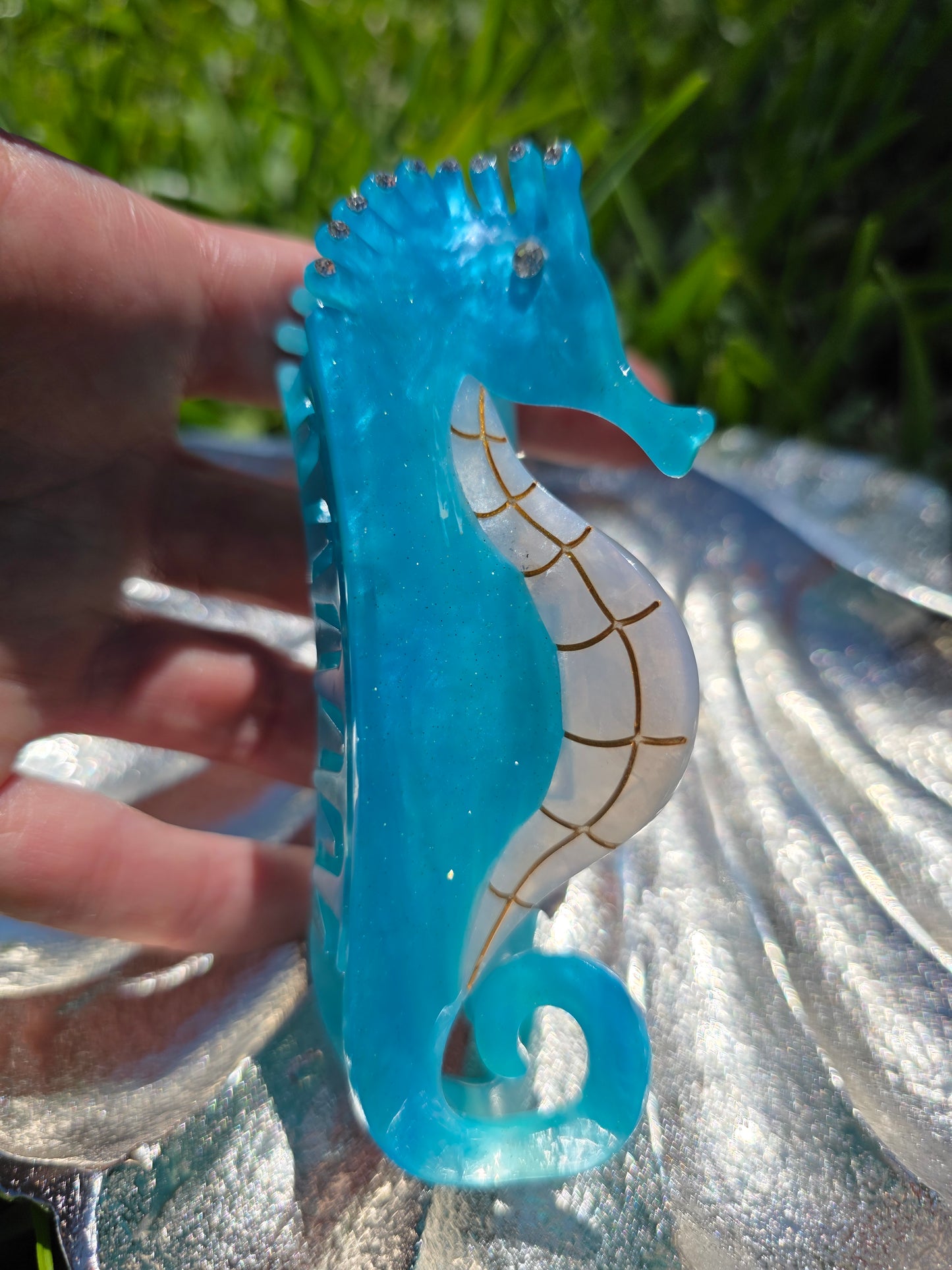 Blue Seahorse held by a hand 