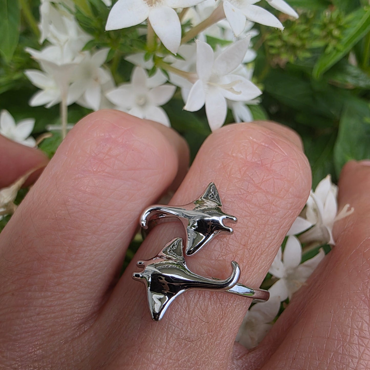 Silver Manta Ray