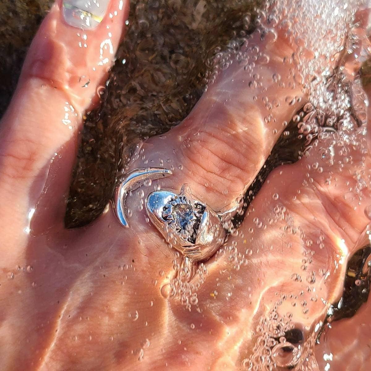 Great White Shark Bite