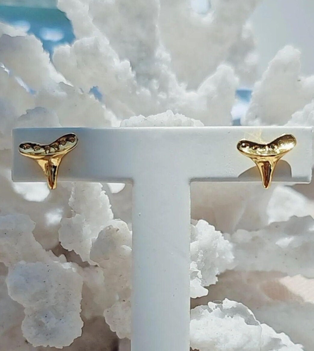 Shark Tooth Studs