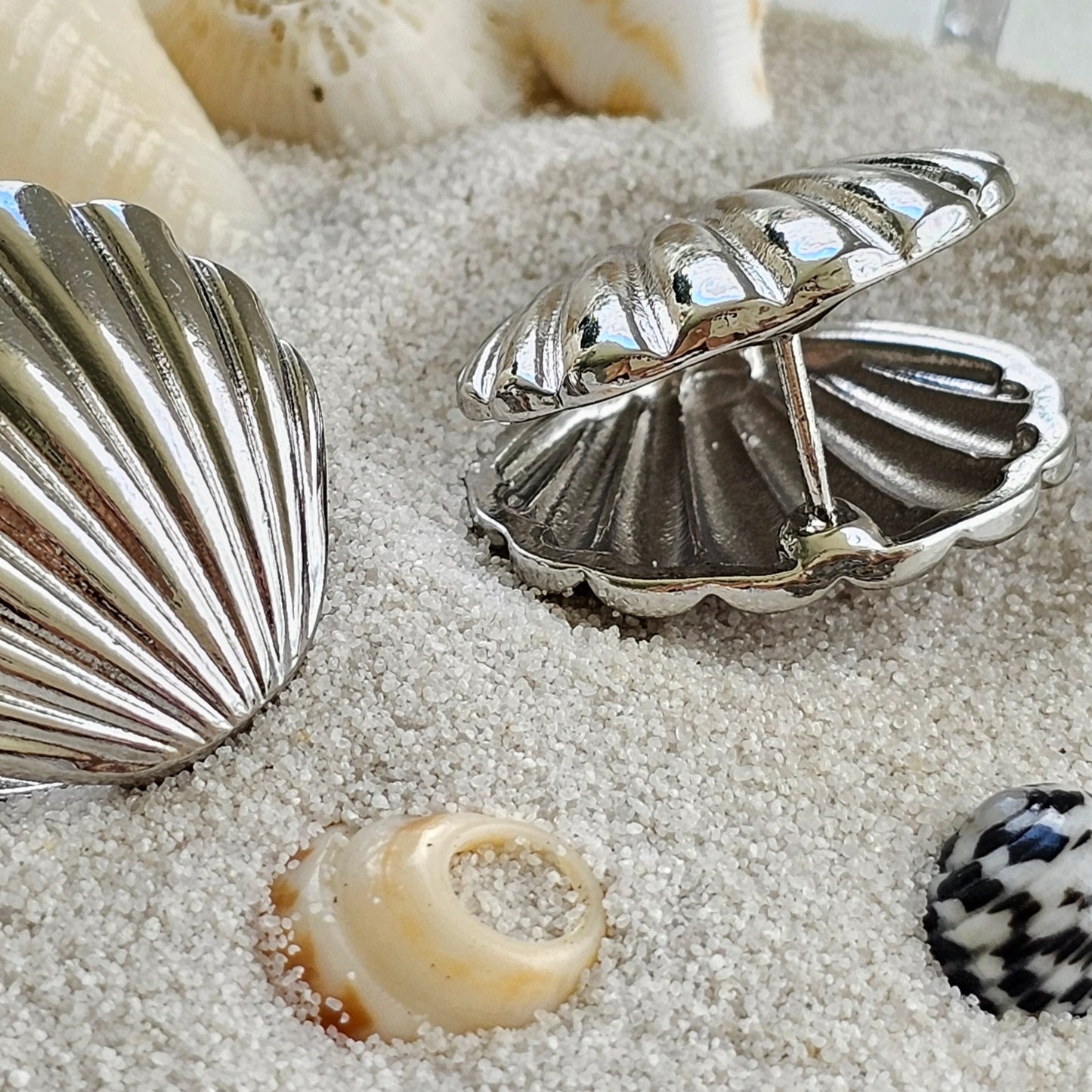 Silver Shell Earrings