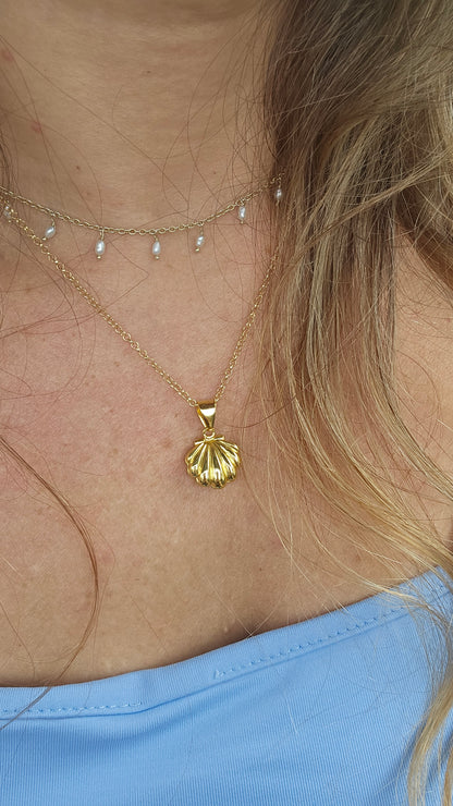 Locket Shell Necklace