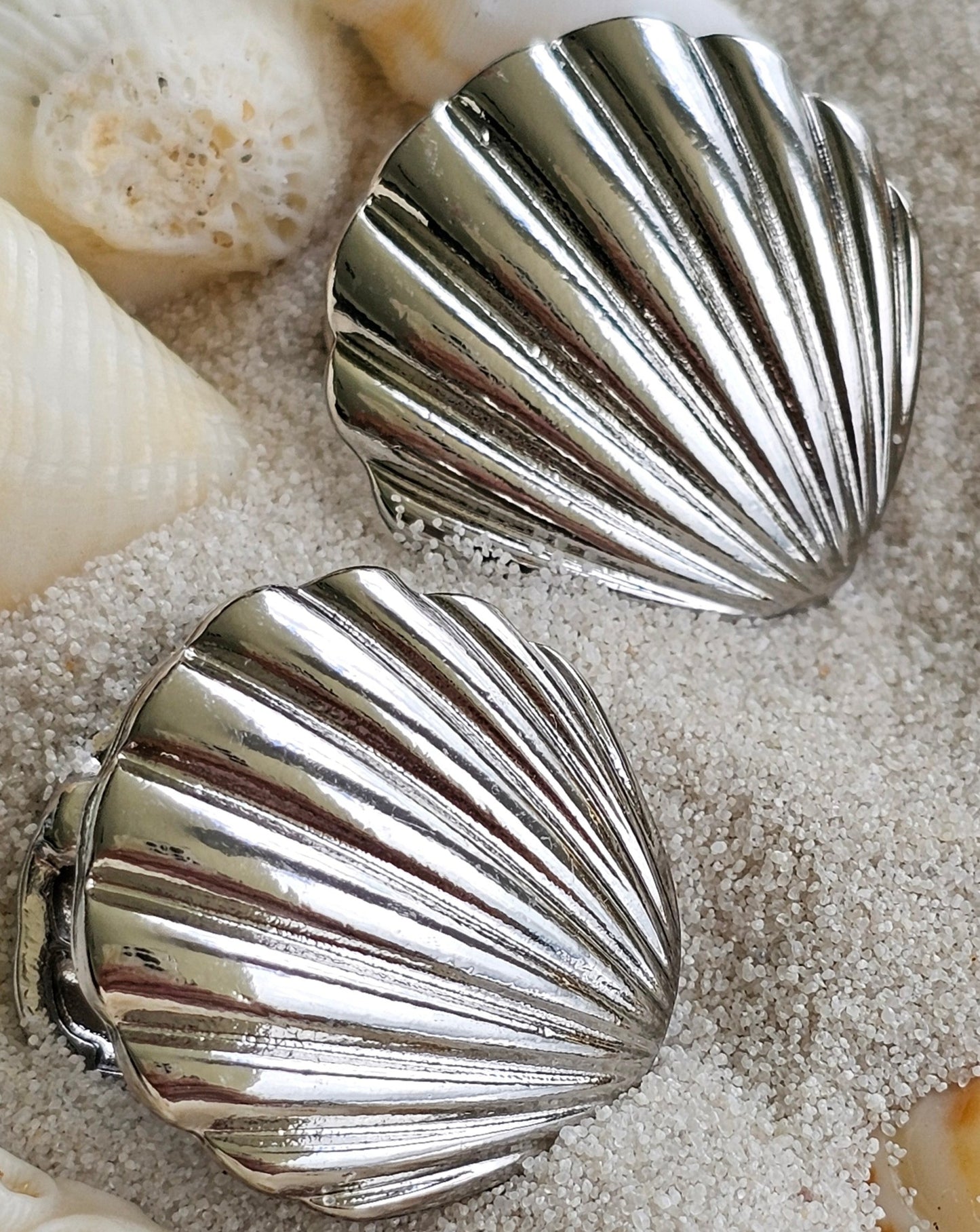 Silver Shell Earrings