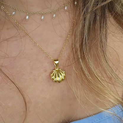 Locket Shell Necklace