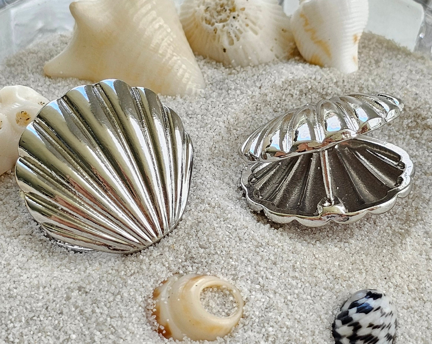 Silver Shell Earrings