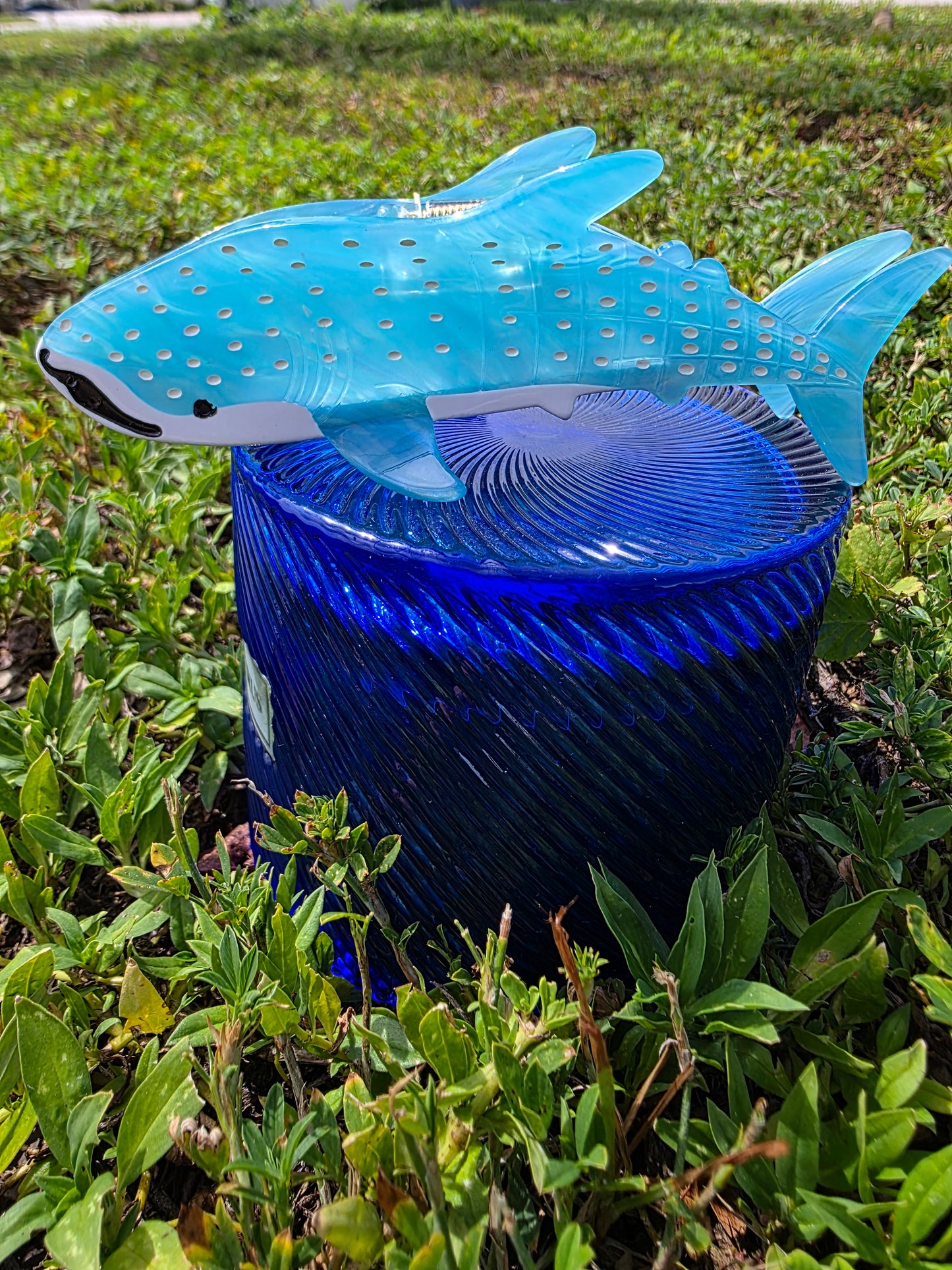 Whale Shark Hair Claw